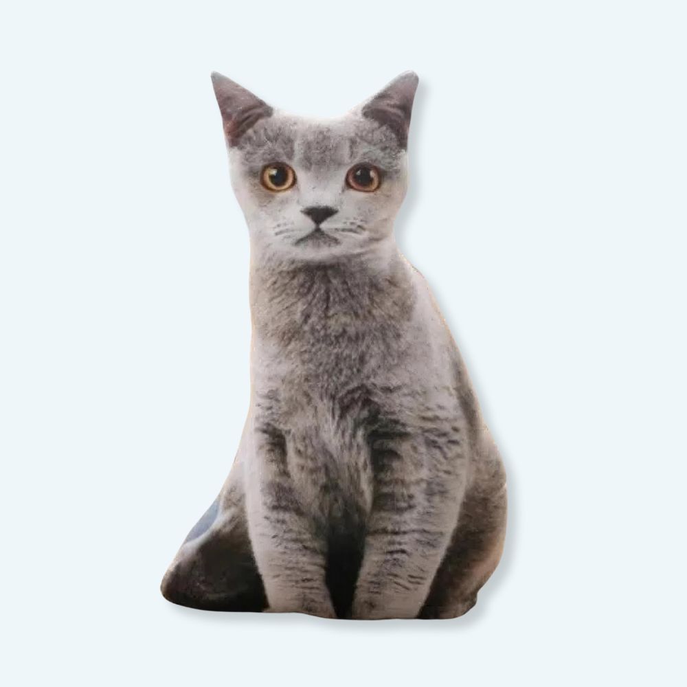 Peluche chat gris oreiller