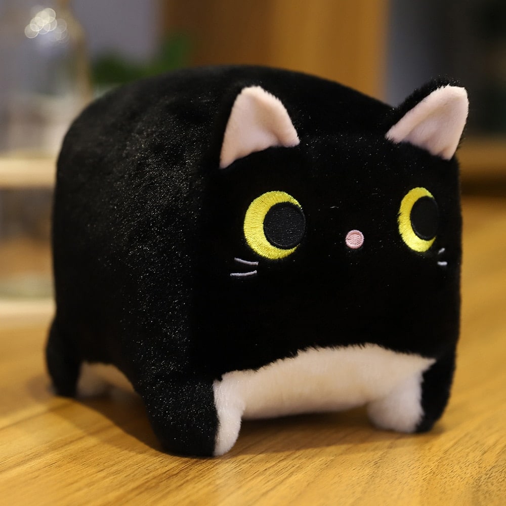 Plush Cat Square