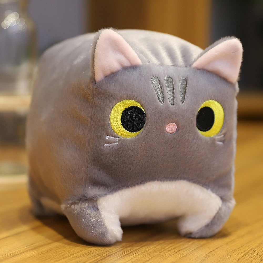 Peluche chat carrée