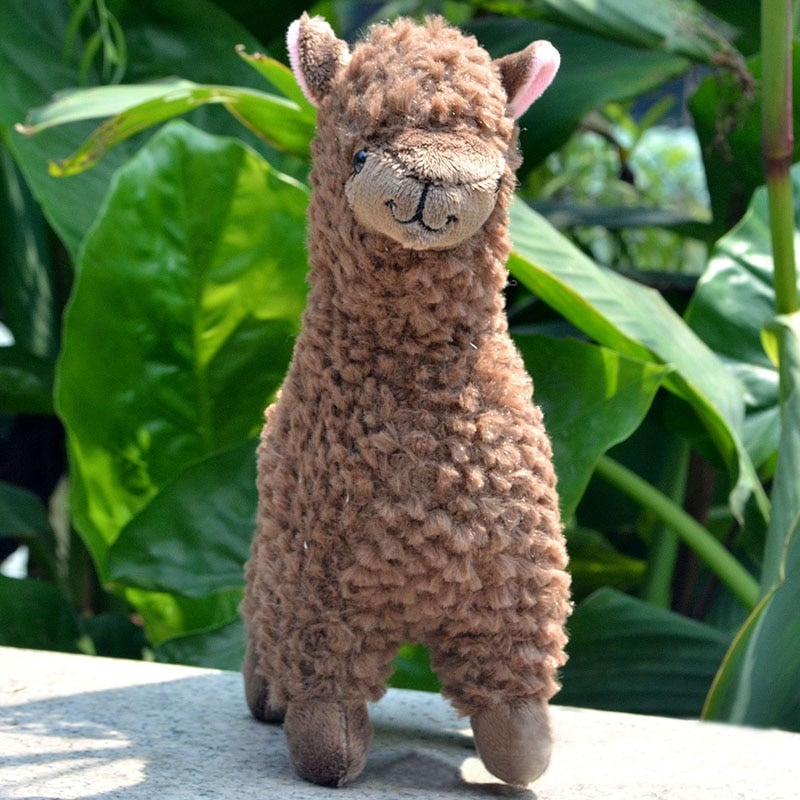 Plush Alpaca Long-Haired