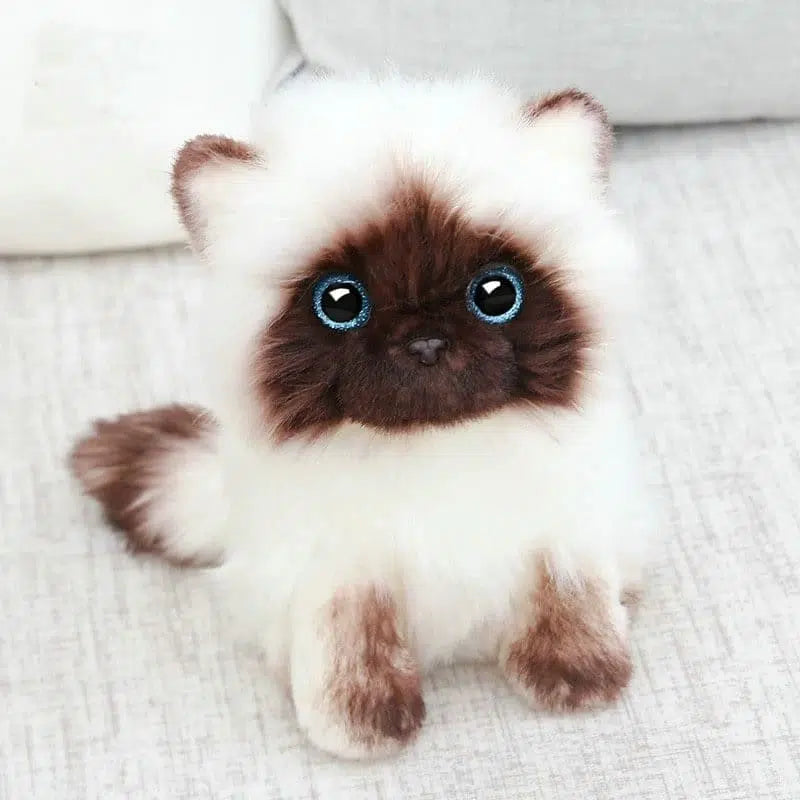 Peluche chaton siamois